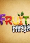 Fruit Ninja