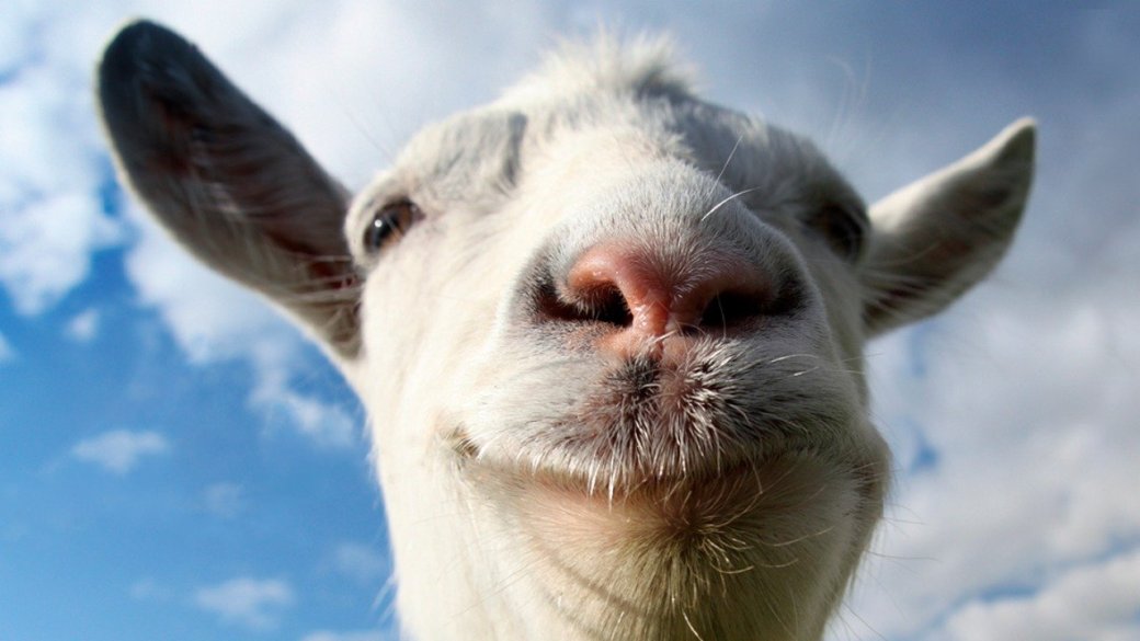 Чамп и Бейсовский попрыгают через козла на стриме по Goat Simulator. - Изображение 1 Чамп и Бейсовский попрыгают через козла на стриме по Goat Simulator. - Изображение 1