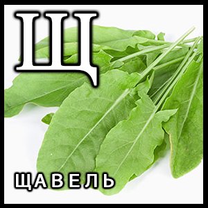 Два главаря на туре: какими словами обсуждали видеоигры 20 лет назад - Изображение 27 Два главаря на туре: какими словами обсуждали видеоигры 20 лет назад - Изображение 27