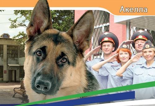 "Акелла" выплатила долг дисками с компьютерными играми. - Изображение 1 "Акелла" выплатила долг дисками с компьютерными играми. - Изображение 1