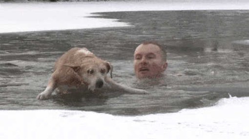 Белгородский журналист нырнул в ледяную воду, чтобы спасти чужую тонущую собаку